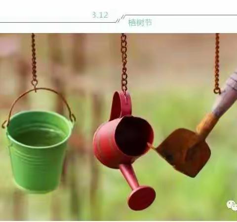 根植母校，感恩成长 ——记东源县崇文学校2021届六年级毕业生植树活动