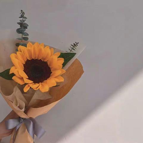 巾帼心向党 奋进新时代