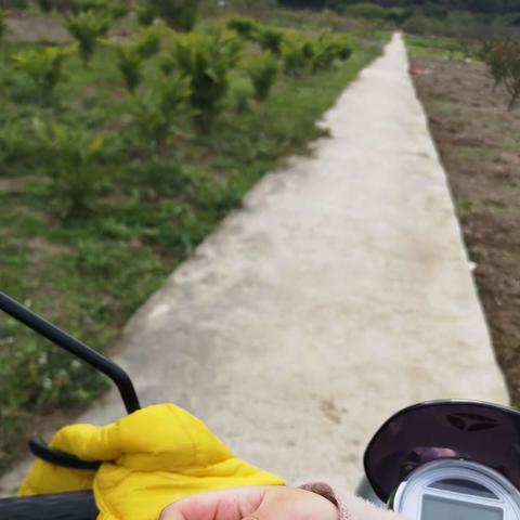 新春慰问暖人心