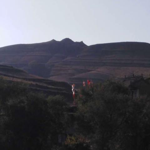 美丽乡村，种田，百丰，常家崖，