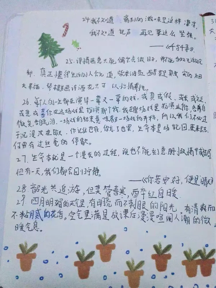 第二组摘抄
