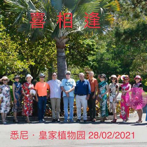 《摄影、歌舞、聚餐一日游》