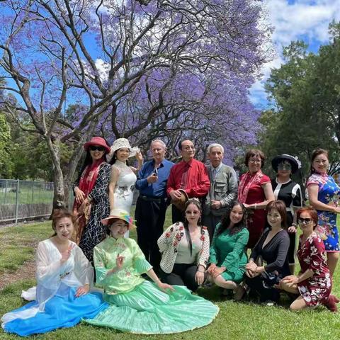 花与影，琴与舞