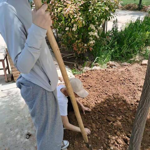 我劳动，我快乐！