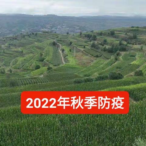 庄浪县2022年秋季动物防疫工作有序推进