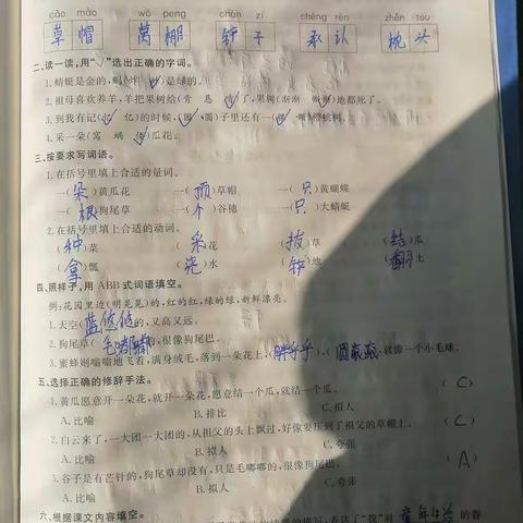 黄河路小学五一班冯豫湘语文寒假作业