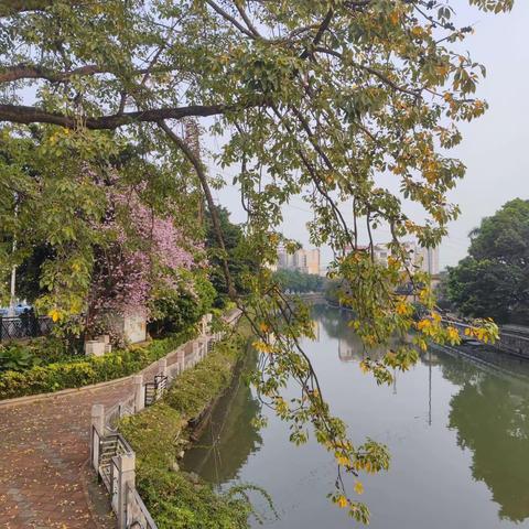 游佛山，吃美食