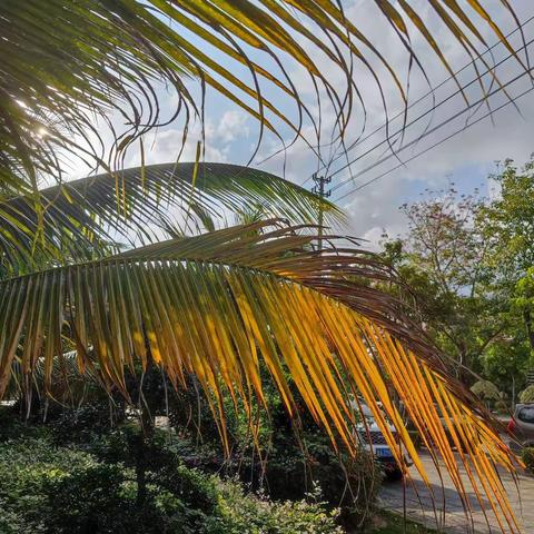 边走边玩轻松享受大自然的美