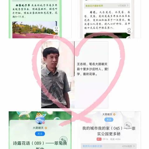 《乡愁点赞》(173)《每周一人   王志明》