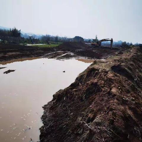 生态廊道旁排放泥浆水 虎鹿中队一查到底