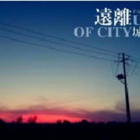 “爱在陪伴·乐在户外”亲子活动——小新星国际教育
