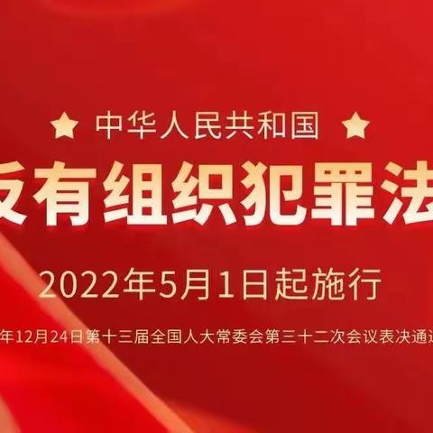 《反有组织犯罪法》典型案例——“市霸”杨某昌涉黑组织操纵商混供应市场案