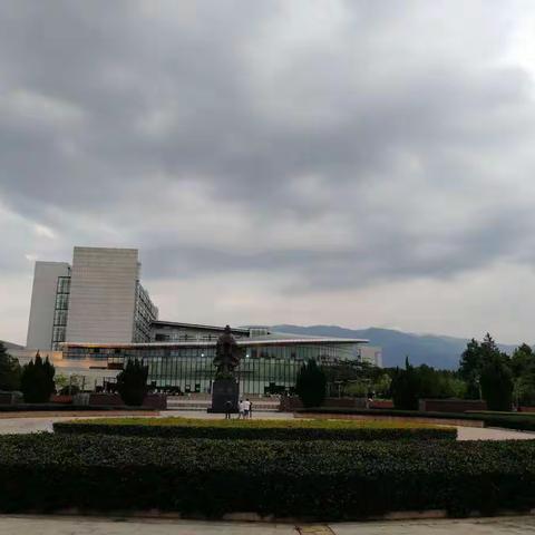 正年轻，不怀旧，我们在青春里再相遇。（植物，建筑随性）