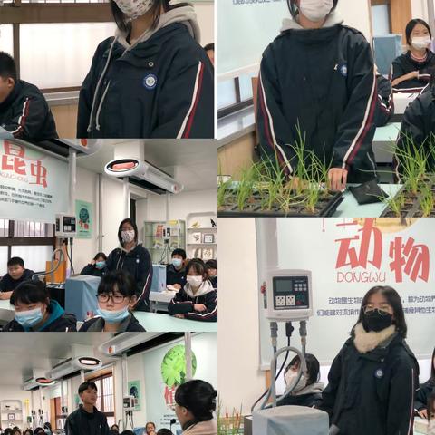 学以致用促成长，学科融合共发展——西安市航空六一八中学社团生涯教育活动