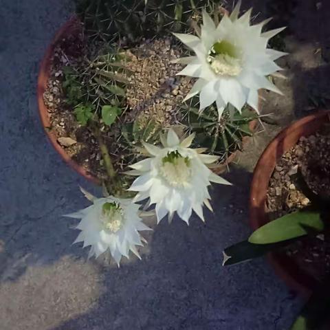 幸福快乐的美篇