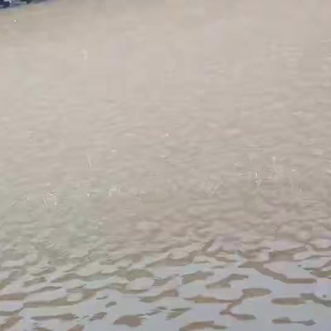 生命至上，依法防御山洪，构建平安茶业