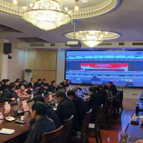 西安市对外开放暨民营经济发展大会（莲湖区视频会议分会场）