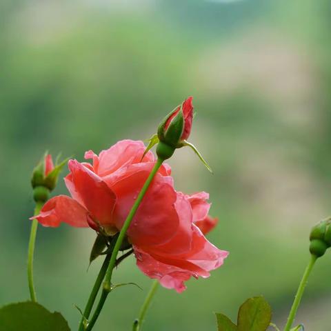 京郊魅力怀柔行