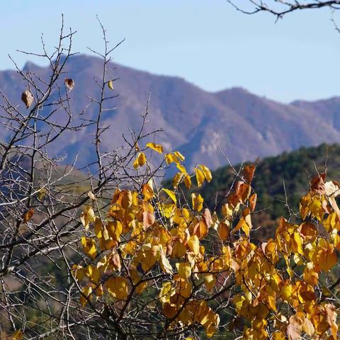 散淡之人的美篇