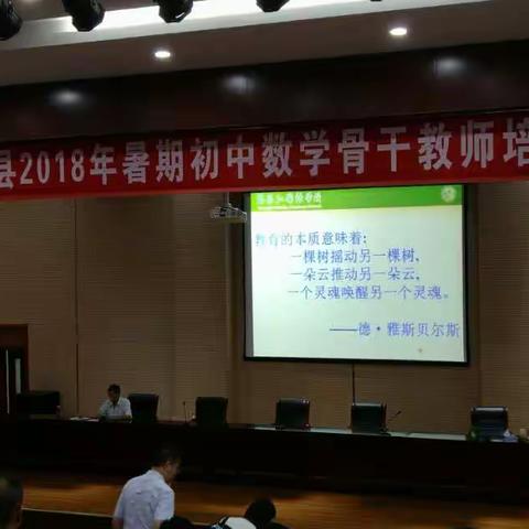 聚焦课堂，优化教学