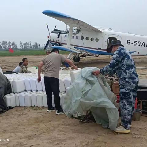 郓城县启动飞机施药防治美国白蛾工作