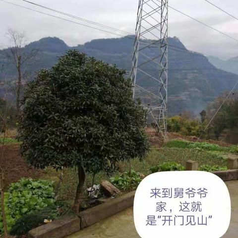 特殊的寒假，特别的课堂！