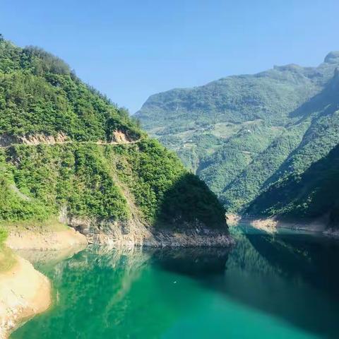 万古小学开展“美丽巫溪，我是行动者”6.5世界环境日系列宣传活动