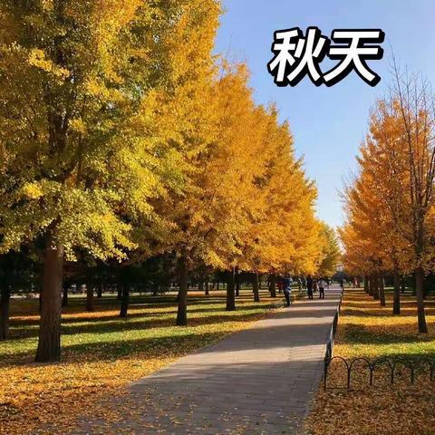 【遇见秋天🍂遇见美🍁】