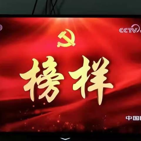 三亚市河西供销社支部组织观看学习专题节目《榜样4》
