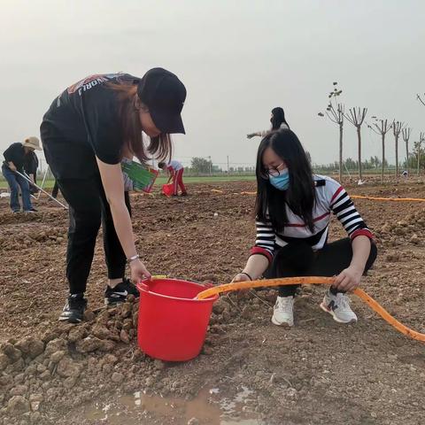 宁阳县堽城镇中心小学“五一”假期致家长的一封信