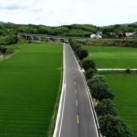 车在路上走，人在画中游！G528路面白改黑即将完工