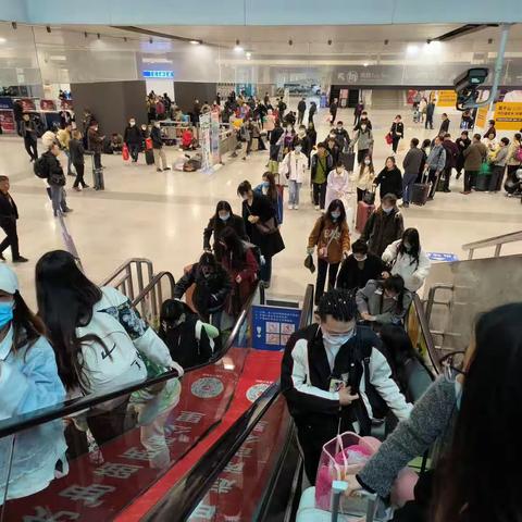 周口师范服设专业华东艺术考察1