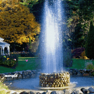 最漂亮的图片送给你2018.10.23.