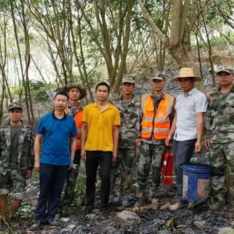 村民发现火情 抱龙村迅速扑灭
