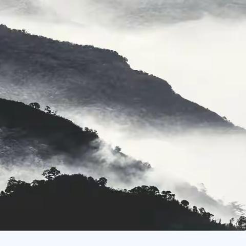 学习微课堂 | 第667课 从根本宗旨把握新发展理念部理论学习小组