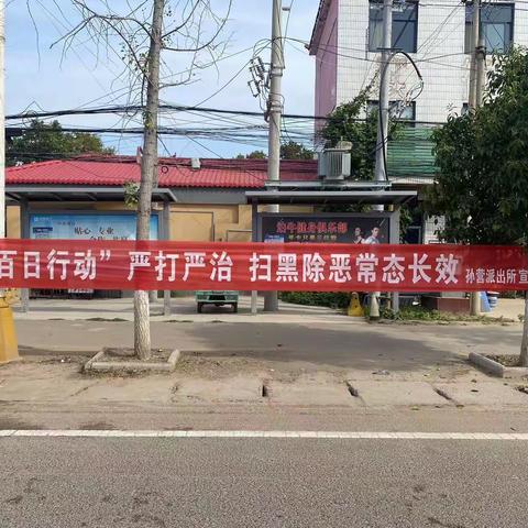 孙营乡组织开展“百日行动”宣传活动
