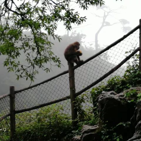 峨眉天下秀