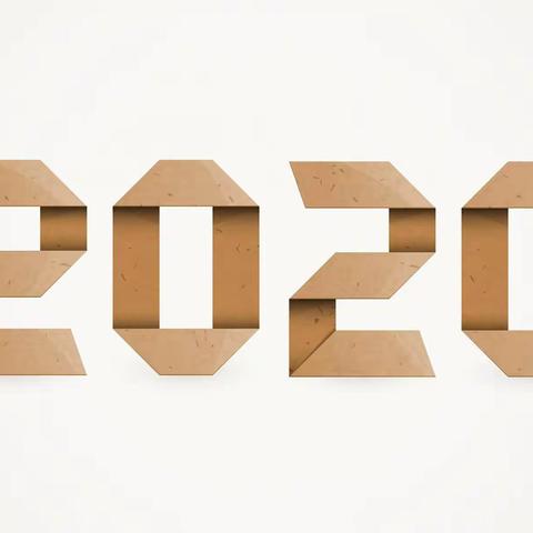 我的2020