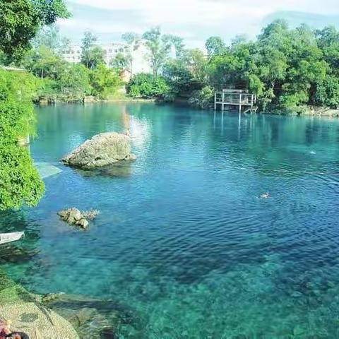 【劲农作物】劲佳优优秀示范推广活动分享--武鸣篇