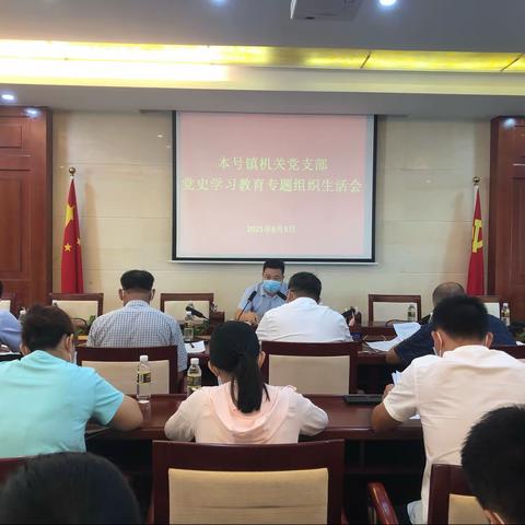 本号镇机关党支部召开党史学习教育组织生活会