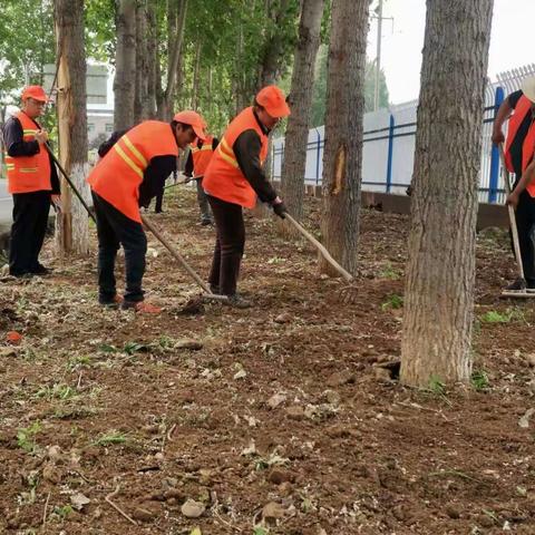 陈仓公路段积极绿化补植美化公路环境