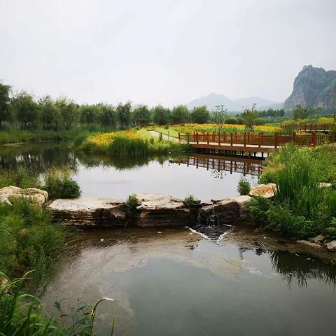 数学思维 魅力无限