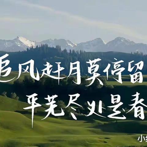 成长不停歇，停课不停学———祥符区陈留镇第一初级中学八年级线上教学纪实