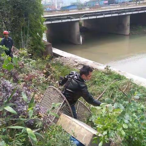 【项目提速 服务提升 干部提振】富兴堡街道组织开展河道清理，扎实推进河长制工作