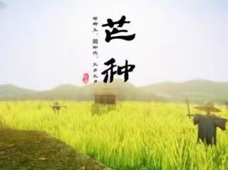 东洲村节气宣传-芒种