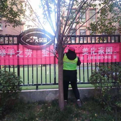 青山绿水人人爱  垃圾入桶从我来