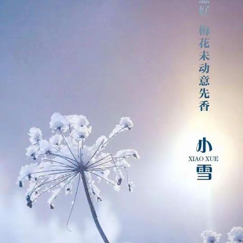 “小雪到，冬始俏”———大二班“小雪”节气主题活动