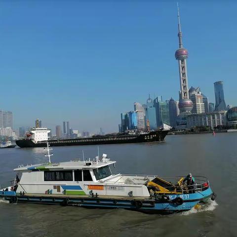 风景这边独好  快乐的一日游！2023.1.4.于上海