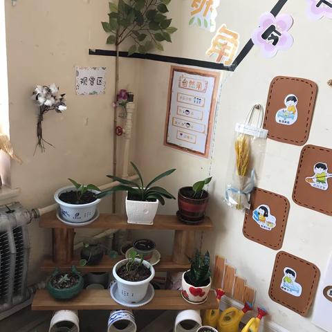 凤鸣幼儿园大七班教室环境展