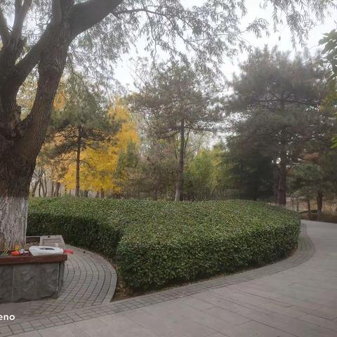 读《中国古代野史》杂记之二